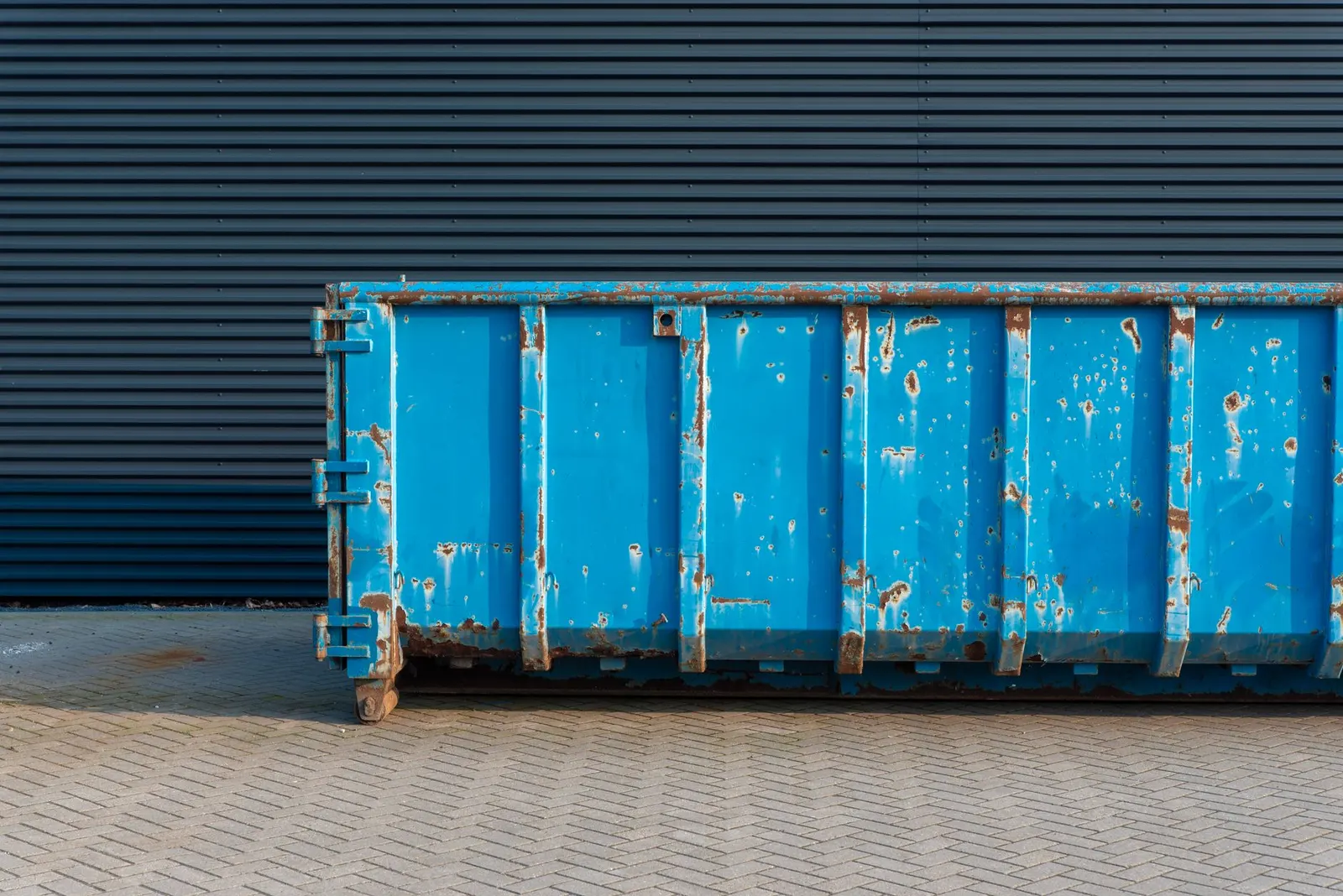 Dumpster rental delivery in Brandon, FL