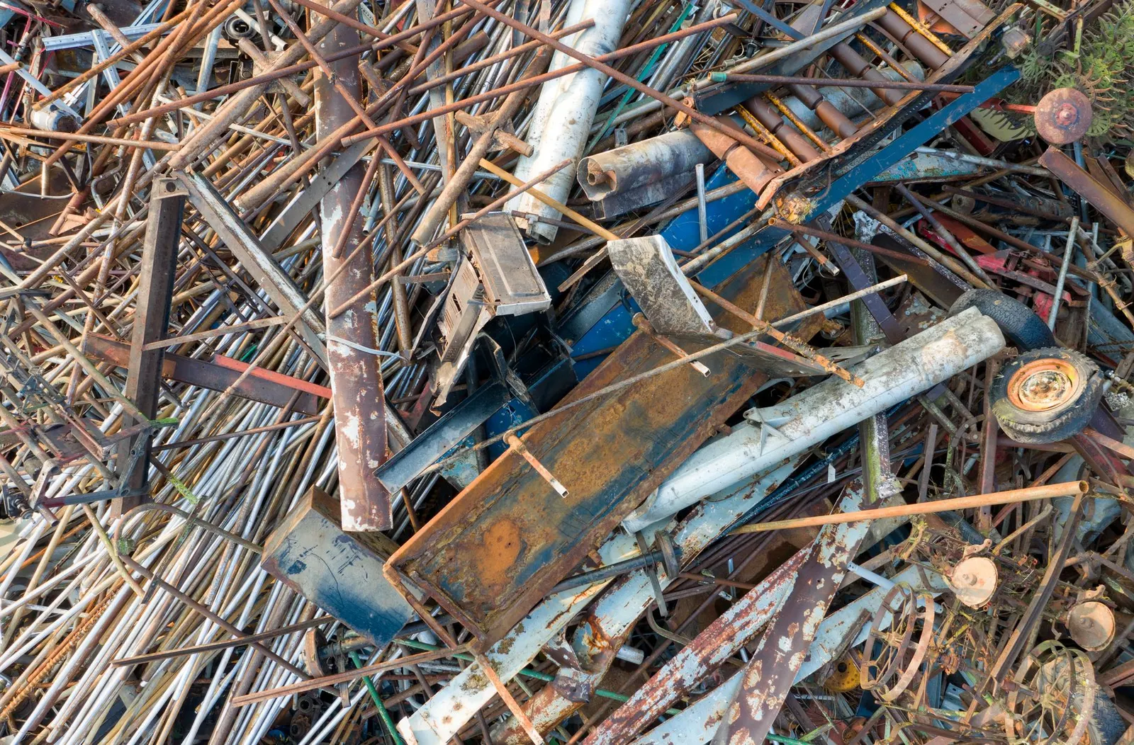 Yard waste removal in Brandon, FL